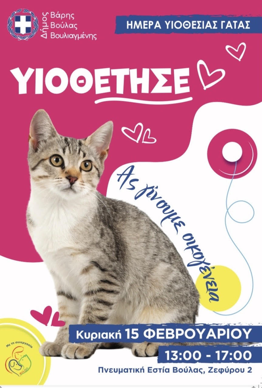 Ημέρα Υιοθεσίας Γάτας από τον Δήμο Βάρης Βούλας Βουλιαγμένης