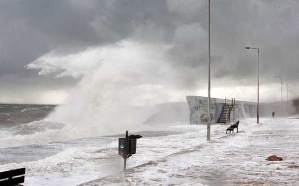 &Delta;&iota;&alpha;&theta;έ&sigma;&iota;&mu;&omicron;&iota; &chi;ώ&rho;&omicron;&iota; &phi;&iota;&lambda;&omicron;&xi;&epsilon;&nu;ί&alpha;&sigmaf; &alpha;&sigma;&tau;έ&gamma;&omega;&nu;