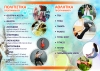 &Alpha;&Theta;&Lambda;&Eta;&Tau;&Iota;&Kappa;&Alpha; &amp; &Pi;&Omicron;&Lambda;&Iota;&Tau;&Iota;&Sigma;&Tau;&Iota;&Kappa;&Alpha; &Pi;&Rho;&Omicron;&Gamma;&Rho;&Alpha;&Mu;&Mu;&Alpha;&Tau;&Alpha; 2019-2020