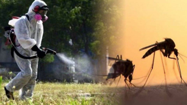 &Sigma;&upsilon;&nu;&epsilon;&chi;ί&zeta;&omicron;&nu;&tau;&alpha;&iota; &omicron;&iota; &psi;&epsilon;&kappa;&alpha;&sigma;&mu;&omicron;ί &gamma;&iota;&alpha; &tau;&eta;&nu; &kappa;&alpha;&tau;&alpha;&pi;&omicron;&lambda;έ&mu;&eta;&sigma;&eta; &tau;&omega;&nu; &kappa;&omicron;&upsilon;&nu;&omicron;&upsilon;&pi;&iota;ώ&nu;